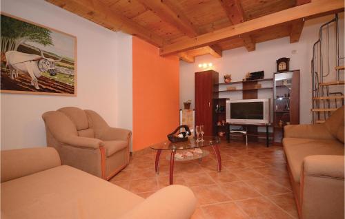 Holiday Home Skitaca Cr in Sajini