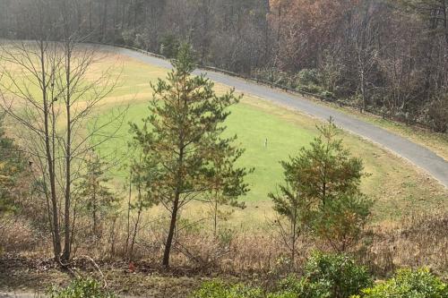 Condo with Stunning Mountain and 6th Green views near Harrahs Cherokee Bryson City in Whittier, USA