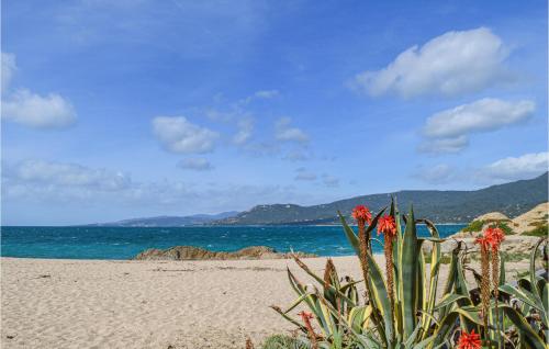 Beautiful apartment in Propriano with WiFi and 1 Bedrooms - image 3