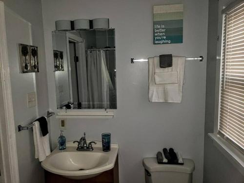 pet friendly hotels in gloucester va