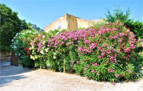 Nice Home In Saint Victor La Coste With Kitchen