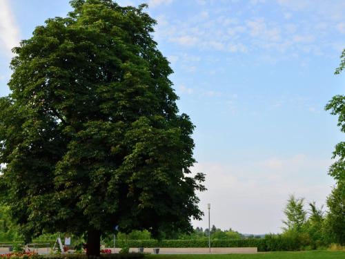 Holiday farm situated next to the Kellerwald Edersee national park with a sunbathing lawn