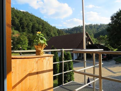 Holiday farm situated next to the Kellerwald Edersee national park with a sunbathing lawn