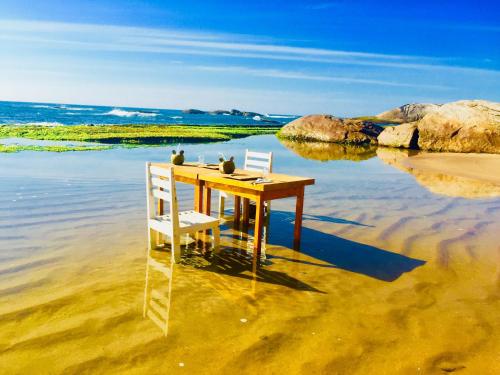 沙灘, Beach Bungalow Yala in 亞勒