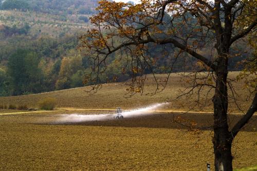 Surrounding environment, Elena Paternoster in San Lazzaro Di Savena