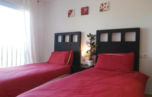 Apartment Torre-Pacheco 13 - image 14