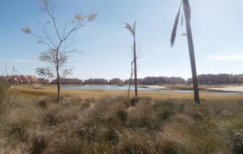 Apartment Torre-Pacheco 13 - image 7