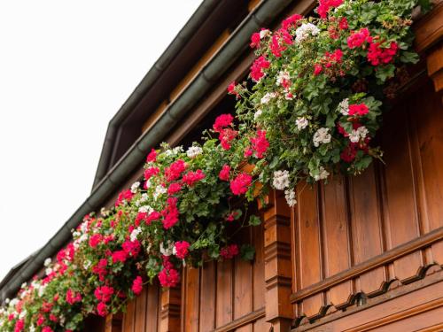 Apartment in the valley of the Black Forest