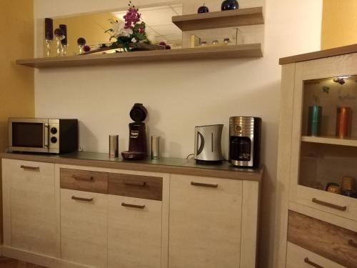 設施, “瓦蒂杜爾”潘森酒店 (Pension Waldidyll) in 施督巴赫