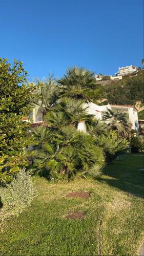 Casa Margherita Ischia