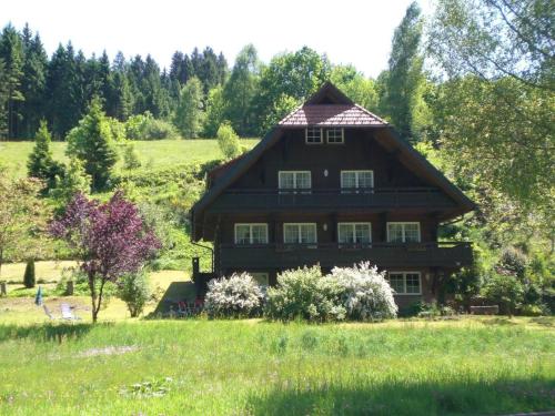 Cozy Apartment in Bad Rippoldsau Schapbach with a view