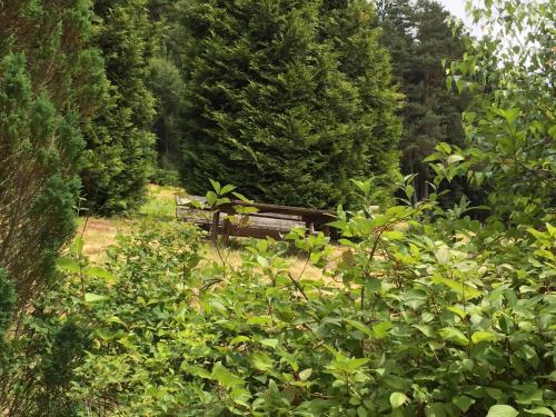 Holiday home in the Black Forest with sauna