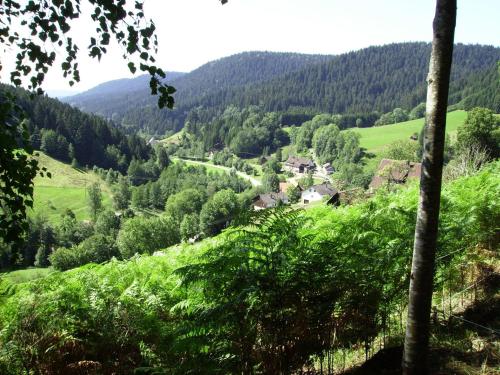 Holiday home in the Black Forest with sauna