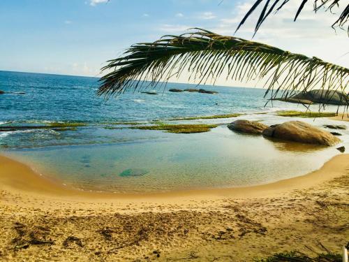周邊環境, Beach Bungalow Yala in 亞勒