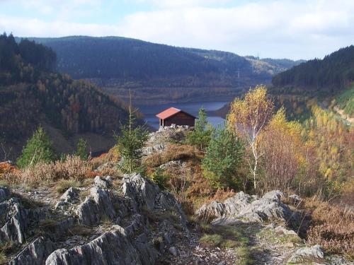 Apartment in Thuringian Forest with garden