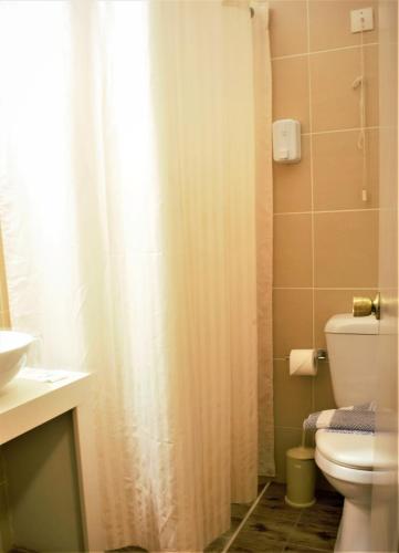 Apollon Hotel - image 11