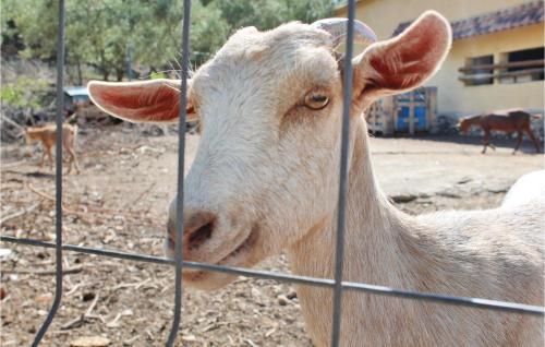  4 Bedroom Pet Friendly Home In Albacete in Fuente-Álamo