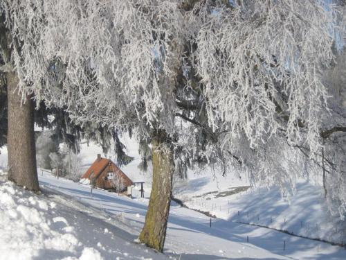 Cottage in Black Forest near ski slopes