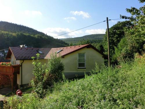 Meadow View Cottage in Winterstein Thuringia near Ski Area