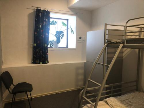 Orion Hostel