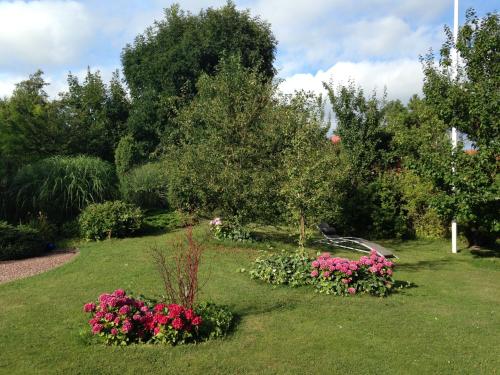 Solrosen i Simrishamn - image 5