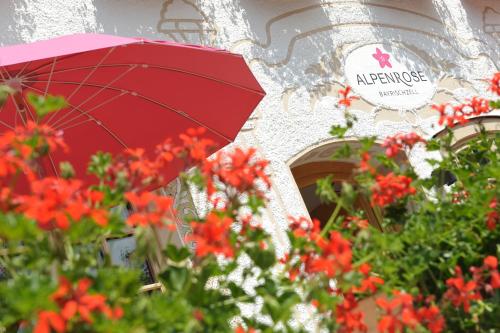 Alpenrose Bayrischzell Hotel