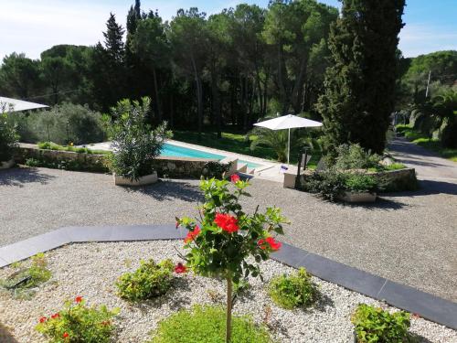 Villa with Private Pool image 1
