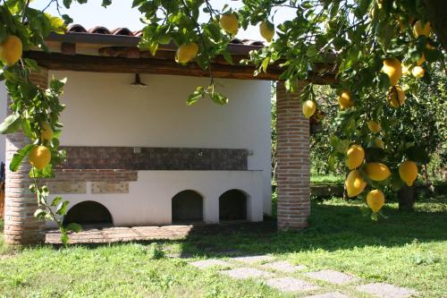 Galea Farm House - image 6