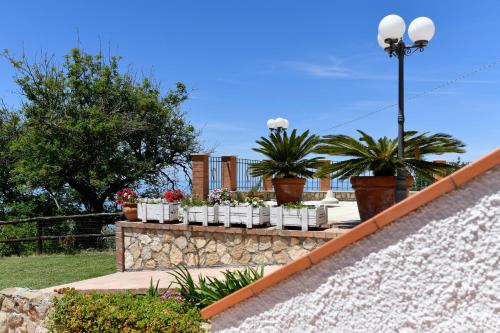 Villa Catalano - 정원