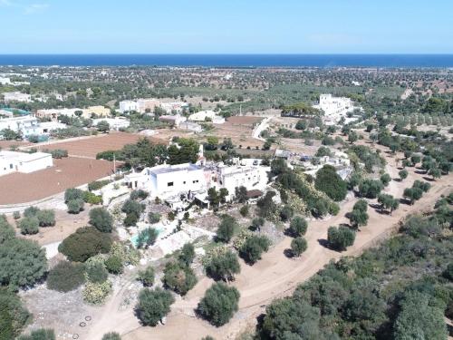 Masseria Pelosella B&B - Accommodation - Fasano