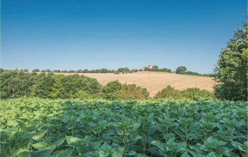  Quadrifoglio II in Configni