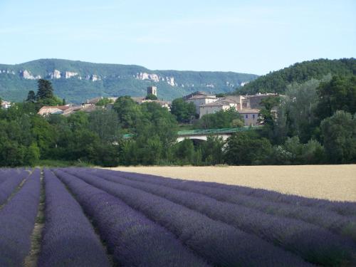 Les Cigales