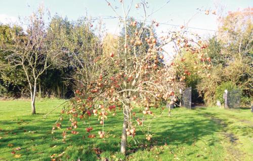 Holiday Home Honfleur Chemin Des Monts - image 7
