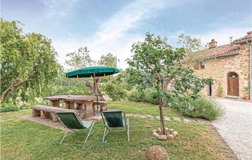 Atracciones, Ulivi 1 in Gubbio