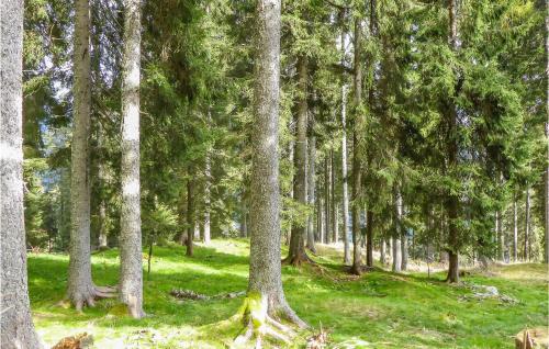  Nice home in Zuclo with 2 Bedrooms in Saone