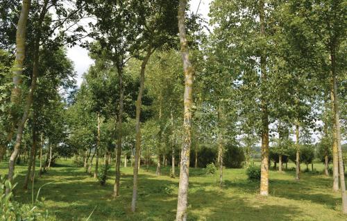 Skats, Gite De La Lombardie in Lottinghen