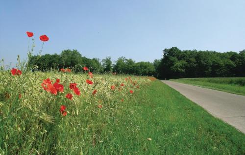 Viesnīcas āriene, Gite De La Lombardie in Lottinghen