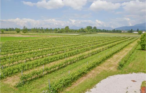  Awesome home in Stregna with 2 Bedrooms and WiFi in Stregna