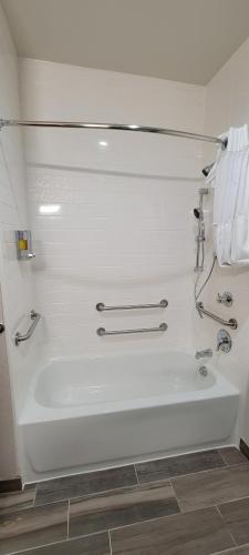 Alamo Inn & Suites Downtown - image 13