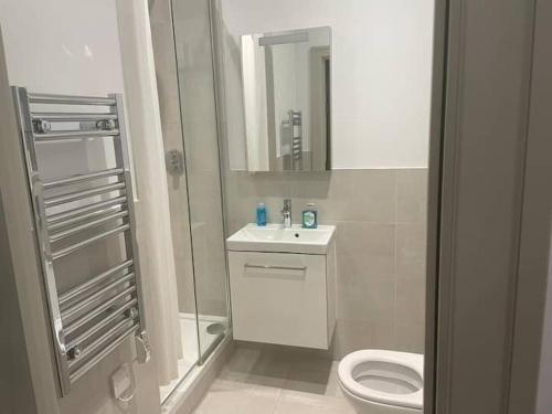 CITY SKYLINE VIEWS 1Bed Studio Apartment Free WIFI & Netflix Sleeps 3 Perfect for Solo & Coupled Travelers, Londýn (fotografie 9)
