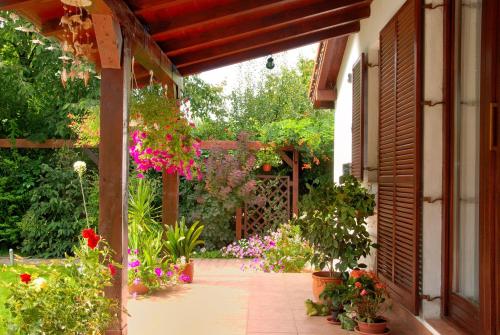 Vila Poiana - image 8