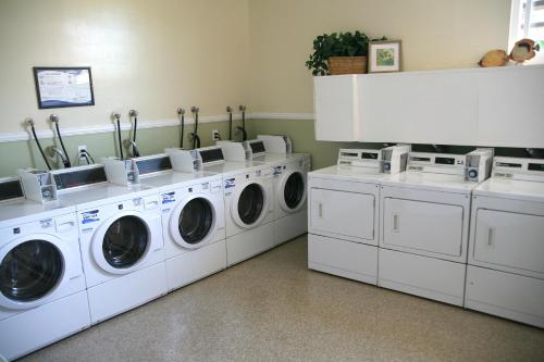 C112 - Pier Pleasure