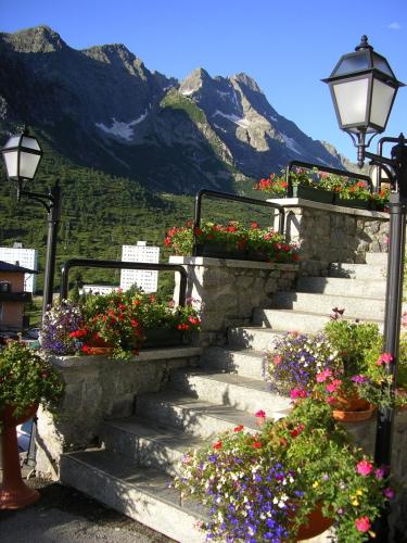 Hotel Orchidea - image 3