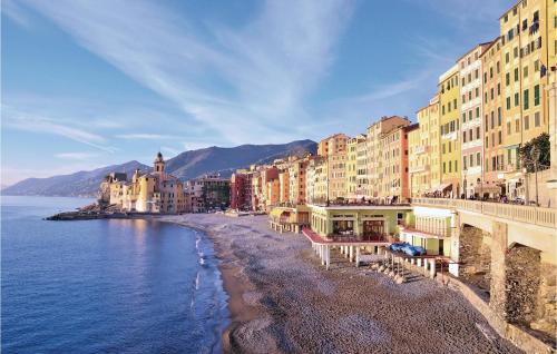 Alloro - image 3