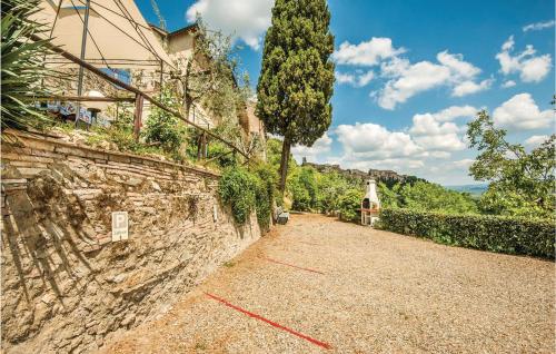 Zafferano 2 - image 13