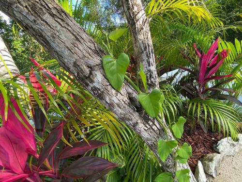 Amazing Villa Inside Tulum Country Club Akumal