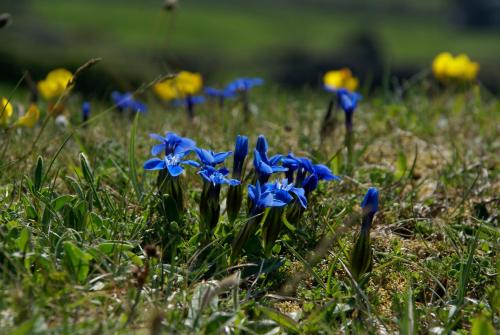 Fanore Holiday Cottages