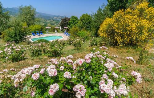 Rondine gîte à louer Smirra