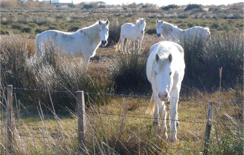 Holiday home Mas De La Tour De Lubiere - image 6