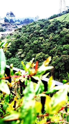 Green Gregory Villa Nuwara Eliya photo